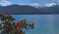 Rara Lake Trekking